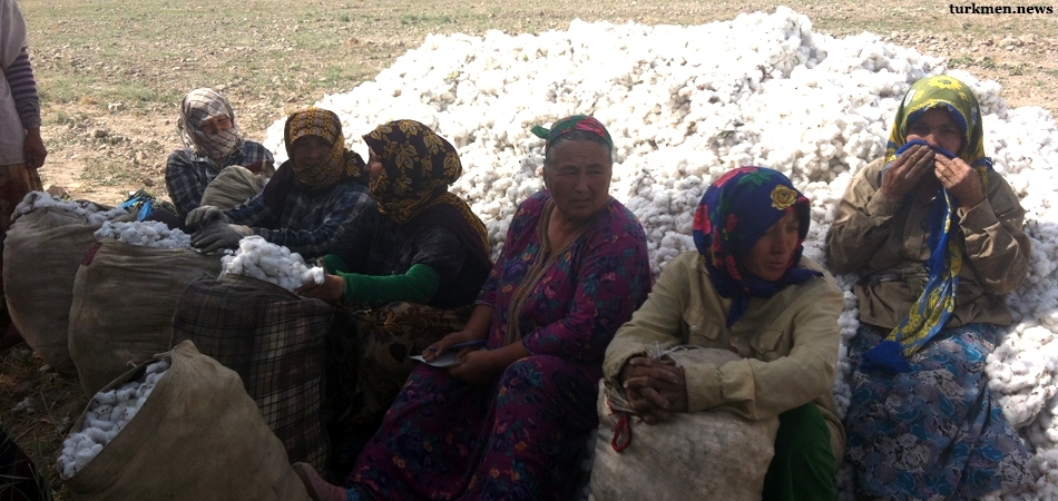 Teachers in Eastern Turkmenistan Sent Cotton Picking en Masse
